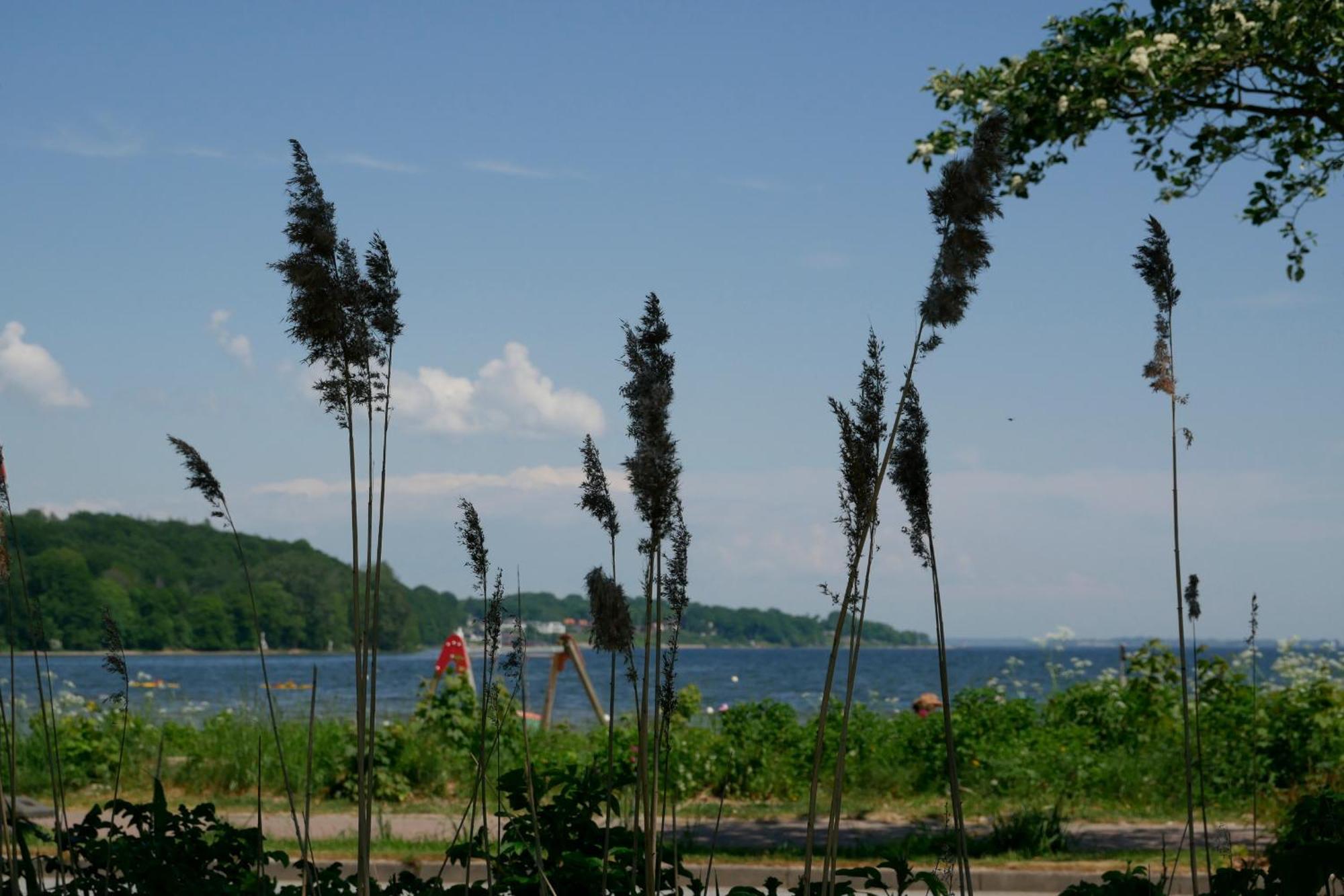 Ostsee, Wunderschoene Wohnung Mit Meerblick Harrislee Zewnętrze zdjęcie